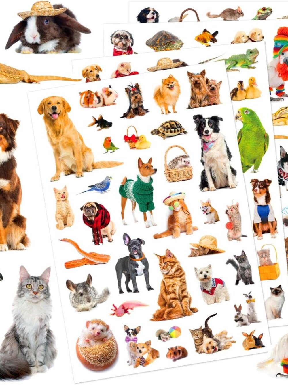Pet Animals Stickers 660 Count Dog Cat Animal Pet Rabbit Parrot Fish Bird Reptil